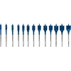 Image de Bosch EXPERT SELFCUT Speed Bo. 13 pcs. Set 10-32mm