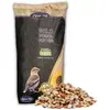 Image de 25 kg de graines d'arachide Lyra Pet®Reproductiontiquées, blanchies et avec leur peau.