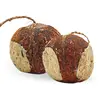 Image de 3 x 4 pièces. Noix de coco remplie de trous Lyra Pet®