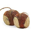 Image de "translations":["text":"3 X 4 Pièces De Noix De Coco Farcies Perforées Lyra Pet®","detectedsourcelanguage":"de","taghandlingversion":"v1