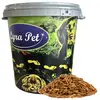 Image de 5 kg de larves de mouches soldats Lyra Pet® dans un récipient de 30 L