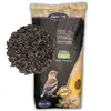 Image de 25 kg de graines de tournesol noires Lyra Pet®, nouvelle récolte