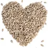 Image de 25 kg de graines de tournesolReproductiontiquées Lyra Pet® HK Bulgarie