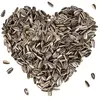 Image de 25 kg de graines de tournesol rayées Lyra Pet® HK Bulgarie