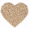 Image de 25 kg de graines de tournesolReproductiontiquées Lyra Pet® BRUCH HK Bulgarie