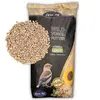 Image de 25 kg de graines de tournesolReproductiontiquées Lyra Pet®, concassées, nouvelle récolte
