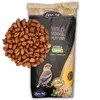 Image de 10 kg de cacahuètes Lyra Pet® avec peau, nouvelle récolte