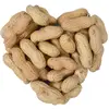 Image de 10 kg de graines de cacahuète Lyra Pet® en cosses, origine Argentine