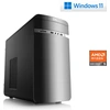 Image de PC de bureau, AMD Ryzen 5 8600G, 4300 MHz, AMD Radeon 760M, 16 Go DDR5 RAM, 1000 Go M.2 SSD, Windows 11 Home, USB 3.2 |M11060H