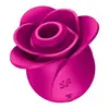 Image de Satisfyer Pro 2 Modern Blossom