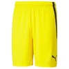 Image de Puma Pantalon Spodenki Teamliga M, 70492407, Pointure: 182