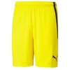Image de Puma Nohavice Spodenki Teamliga M, 70492407, Taille : 188
