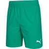 Image de PUMA teamFINAL Trainingsshorts Herren pepper green S