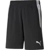 Image de Short d'arbitre Puma Teamliga Hommes - Noir