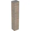 Image de Geberit Renova Plan armoire haute, avec une porte, 33x180x29,8cm, 504.045.JR.1