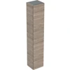 Image de Geberit Renova Plan Armoire Haute, Avec Une Porte, 33x180x29,8cm,