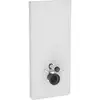 Image de Geberit Monolith Module Sanitaire Pour Wc Suspendu, 114 Cm,