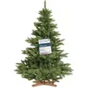 Image de FairyTrees Sapin de Noël Artificiel 150cm NORDMANN | Arbre de Noël avec Support en Bois | Sapin avec Tronc Vert | EU