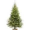 Image de FAIRYTREES Sapin de Noël Artificiel 220 cm Nordmann Exclusif 100% PE| Éléments naturels moulés par Injection | Fabriqué en UE | Arbre de Noël avec Support en Bois de frêne Fait à la Main