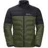 Image de Vestes Jack Wolfskin 12066224129