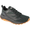 Image de Chaussures Jack Wolfskin Terraventure Texapore Low 40516214161