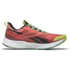 Image de Chaussures Reebok Floatride Energy 4 Adventure GW7194