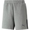 Image de Short Hommes Puma Team Cup Casuals - Gris