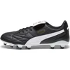 Image de Chaussures Puma King Top Fgag, 10734801