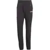 Image de Pantalon Adidas IQ1401 pour Homme