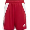 Image de Short Adidas IR9367 pour Garçon