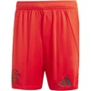 Image de Pantalon Adidas Fcb IT8513