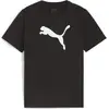 Image de T-shirt Enfant Puma Teamrise Logo Jersey Coton Jr Noir