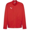 Image de Veste en polyester Puma Teamgoal Hommes - Rouge