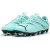 Image de Chaussures de foot Puma Attacanto FG/AG - Peppermint/Black - taille 42