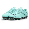 Image de Chaussures de foot Puma Attacanto FG/AG - Peppermint/Black - taille 43