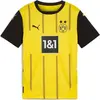 Image de T-shirt Puma Bvb Home 77494601