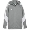 Image de Veste à capuche Puma Teamevostripe Hommes - Gris