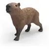 Image de Capybara