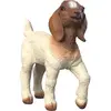 Image de Chevreau de Buren Schleich