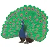 Image de Paon
