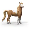 Image de Jument Mustang