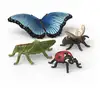 Image de Monde miniature Schleich Wild Life 42741 Ensemble découverte insectes 4 figurines : abeille, coccinelle, papillon Morpho bleu, grande sauterelle verte Multicolore - Neuf