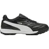 Image de Chaussures Puma King Liga 10847601