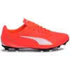 Image de Chaussures Puma Vitoria Ii 10850003