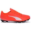 Image de Chaussures Puma Vitoria 10850303
