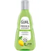 Image de GUHL 5439344006 GUHL FRISCHE & LEICHTIGKEIT ANTI-FETT Shampoo 250 ml