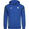 Image de XS|Manchester City PUMA FtblArchive Sweat à capuche Homme 774390-13