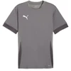 Image de Puma Teamgoal Matchday Maillot Hommes Manches Courtes - Gris