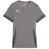 Image de Puma Teamgoal Maillot Femmes manches courtes - Gris