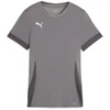 Image de Puma Teamgoal Maillot Femmes manches courtes - Gris